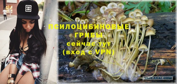 прущий лед Алзамай