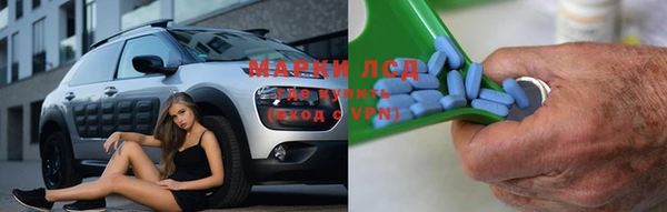 прущие грибы Алексеевка