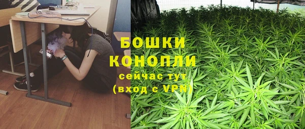 прущий лед Алзамай