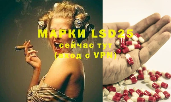 прущие грибы Алексеевка