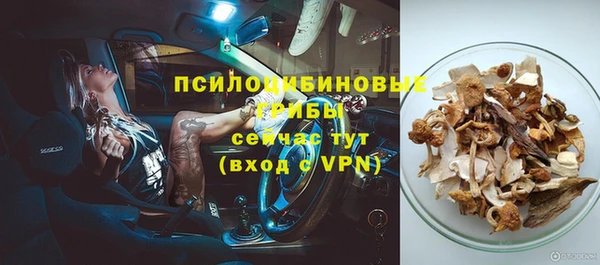 прущие грибы Алексеевка